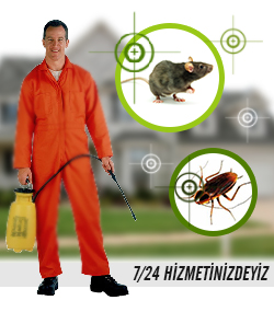 titiz-hasere-ilaclama