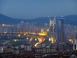 Ataşehir Böcek ilaçlama