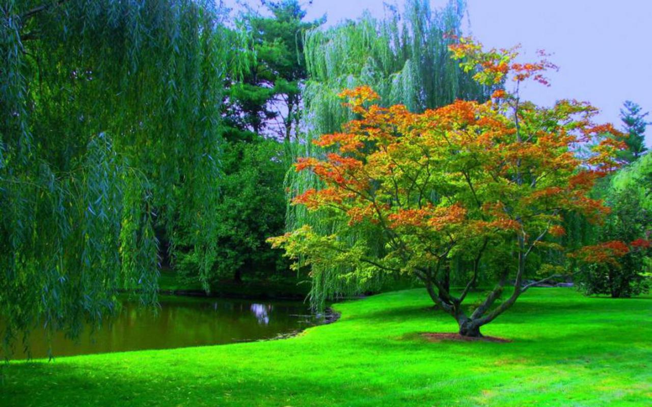 Mevsimsel Haşere Sorunları