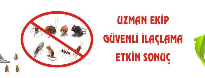 En İyi Böcek İlaçlama Şirketi